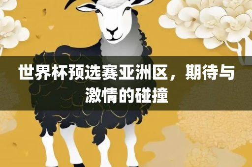 世界杯预选赛亚洲区，期待与激情的碰撞