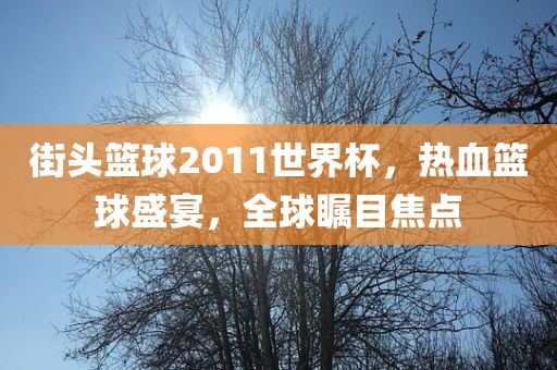 街头篮球2011世界杯，热血篮球盛宴，全球瞩目焦点