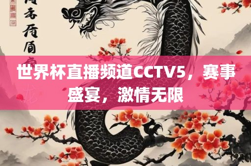 世界杯直播频道CCTV5，赛事盛宴，激情无限