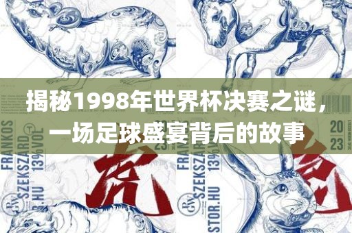 揭秘1998年世界杯决赛之谜，一场足球盛宴背后的故事漯河市盈旭机械设备有限公司