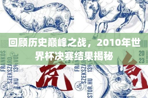 回顾漯河市盈旭机械设备有限公司历史巅峰之战，2010年世界杯决赛结果揭秘