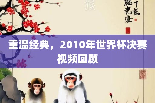 重温经典，2010年世界杯决赛视频回顾