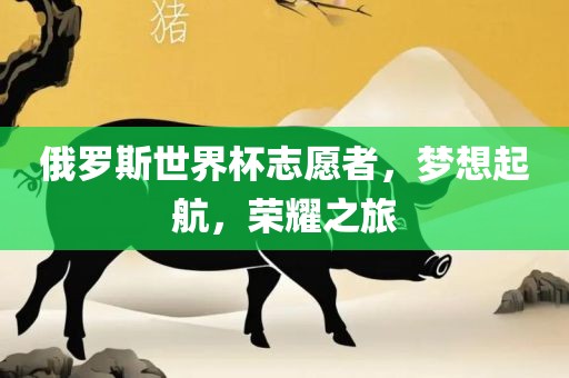 俄罗斯世界杯志愿者，梦想起航，荣耀之旅