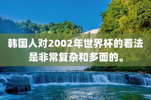 韩国人对2002年世界杯的看法是非常复杂和多面的。