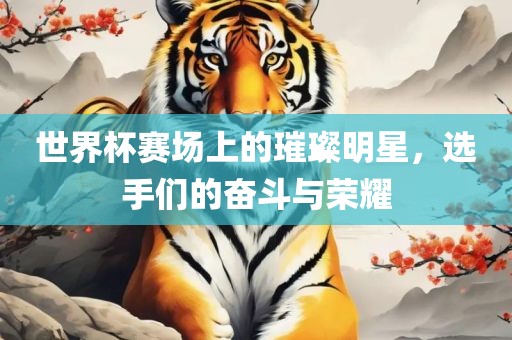 世界杯赛场上的璀璨明星，选手们的奋斗与荣耀漯河市盈旭机械设备有限公司
