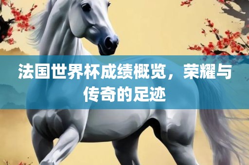 法国世界杯成绩概览，荣耀与传奇的足迹