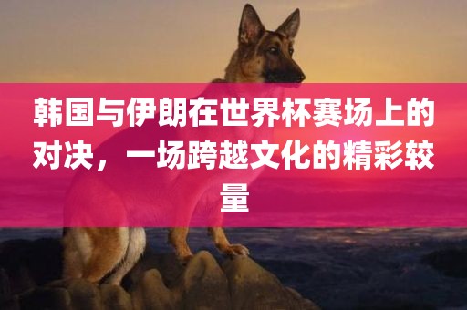 韩国与伊朗在世界杯赛场上的对决，一场跨越文化的精彩较量
