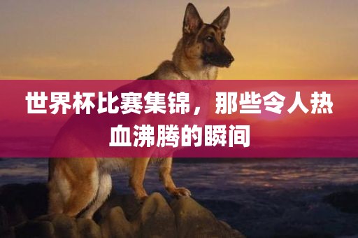 世界杯比赛集锦，那些令人热血沸腾的瞬间