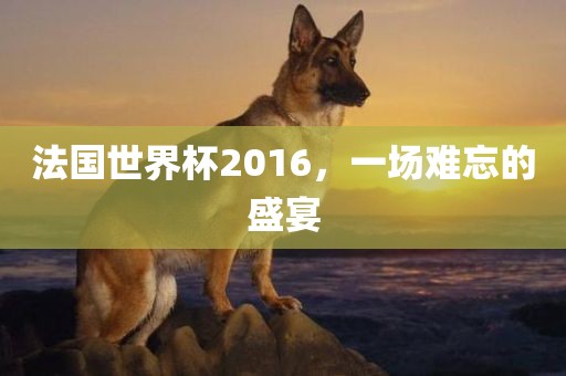 法国世界杯2016，一场难忘的盛宴