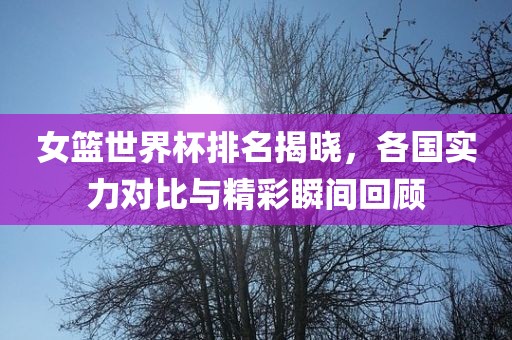 女篮世界杯漯河市盈旭机械设备有限公司排名揭晓，各国实力对比与精彩瞬间回顾