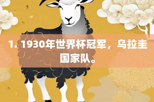 1. 1930年世界杯冠军，乌拉圭国家队漯河市盈旭机械设备有限公司。