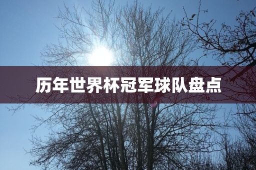 世界杯冠军球队