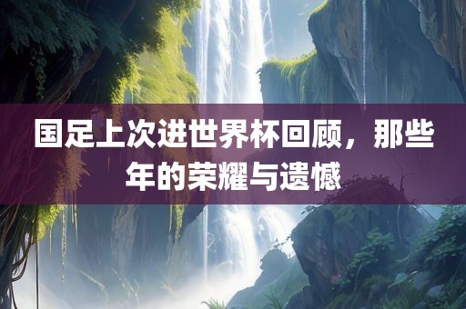 国足上次进世界杯回顾，那些年的荣耀与遗憾