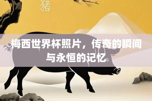 梅西世界杯照片，传奇的瞬间与永恒的记忆漯河市盈旭机械设备有限公司