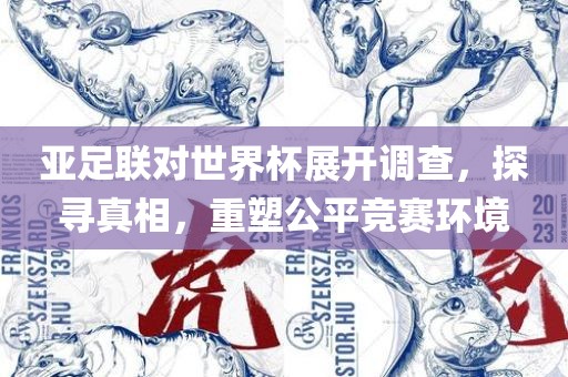 亚足联对世界杯展开调查，探寻真相，重塑公平竞赛环境漯河市盈旭机械设备有限公司