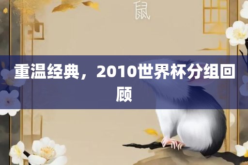 重温经典，2010世界杯分组回顾