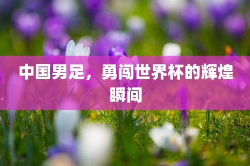 中国男足，勇闯世界杯的辉煌瞬间