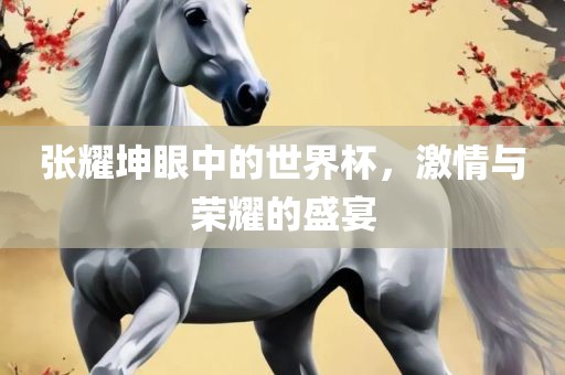 张耀坤眼中的世界杯，激情与荣耀的盛宴