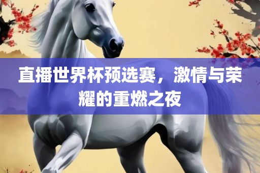 直播世界杯预选赛，激情与荣耀的重燃之夜