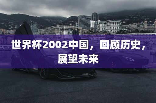 世界杯2002中国，回顾历史，展望未来