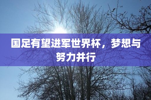 国足有望进军世界杯，梦想与努力并行