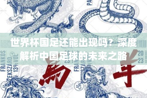 世界杯国足还能出现吗？深度解析中国足球的未来之路