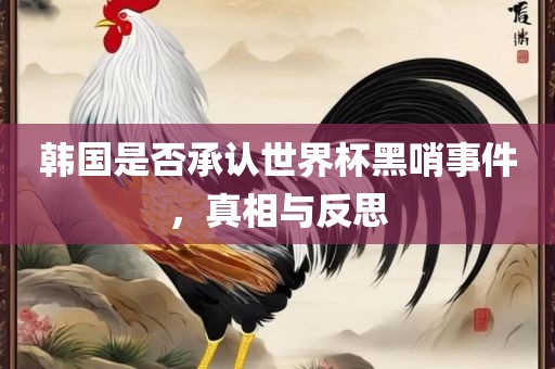 韩国是否承认世界杯黑哨事件，真相与反思