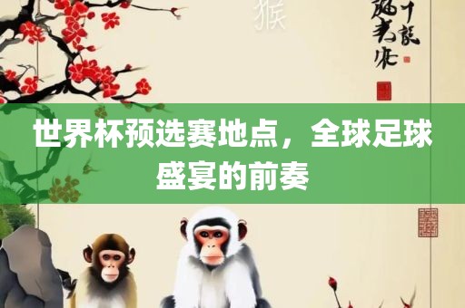 世界杯预选赛地点，全球足球盛宴的前奏