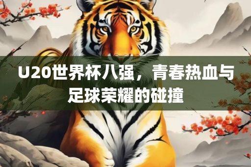 U20世界杯八强，青春热血与足球荣耀的碰撞