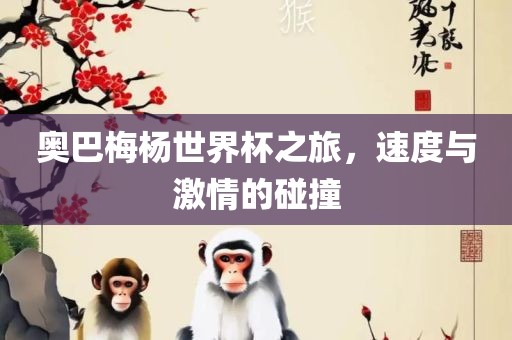 奥巴梅杨世界杯之旅，速度与激情的碰撞