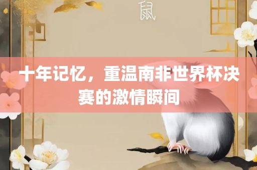 十年记忆，重温南非世界杯决赛的激情瞬间