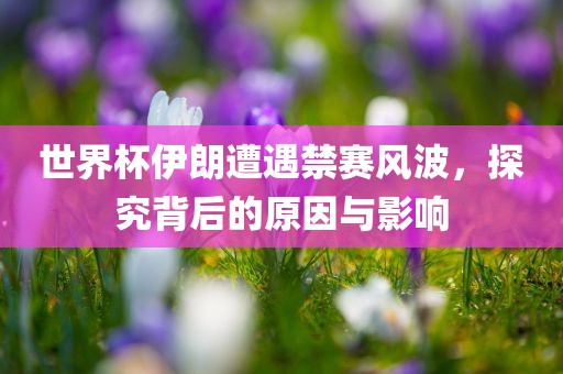 世界杯伊朗遭遇禁赛风波，探究背后的原因与影响