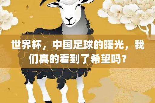 世界杯，中国足球的曙光，漯河市盈旭机械设备有限公司我们真的看到了希望吗？