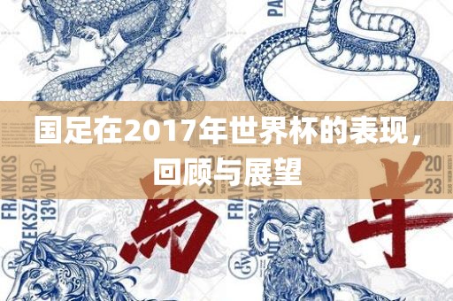 国足在2017年世界杯的表现，回顾与展望