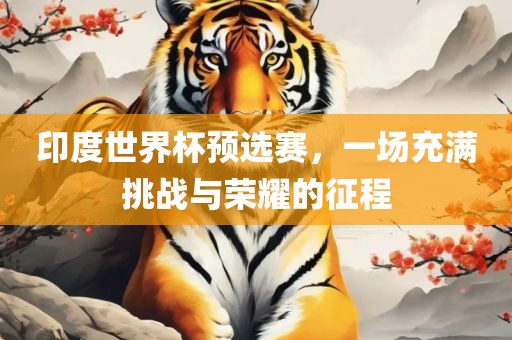 印度世界杯预选赛，一场充满挑战与荣耀的征程