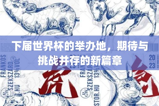 下届世界杯的举办地，期待与挑战并存的新篇章漯河市盈旭机械设备有限公司
