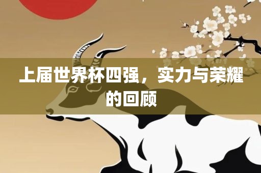 上届世界杯四强，实力与荣耀的回顾