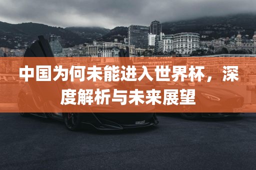中国为何未能进入世界杯，深度解析与未来展望