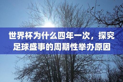 世界杯为什么四年一次，探究足球盛事的周期性举办原因漯河市盈旭机械设备有限公司