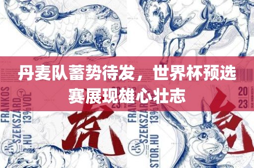 丹麦队蓄势待发，世界杯预选赛展现雄心壮志