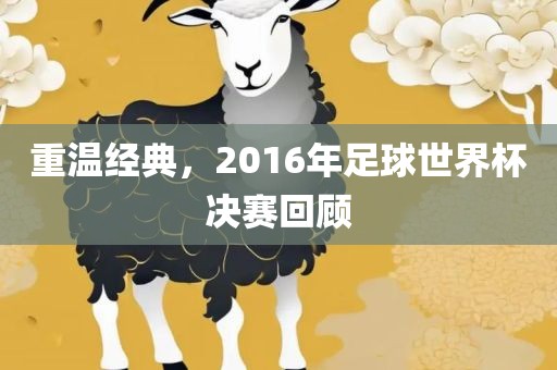 重温经典，2016年足球世界杯决赛回顾