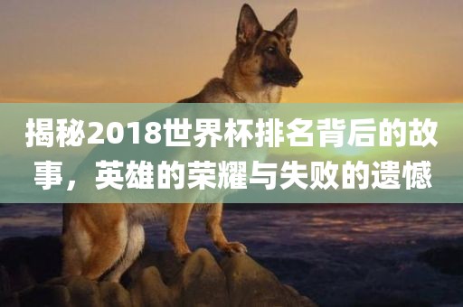 揭秘2018世界杯排名背后的故事，英雄的荣耀与失败的遗憾