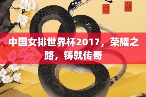 中国女排世界杯2017，荣耀之路，铸就传奇