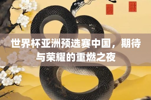 世界杯亚洲预选赛中国，期待与荣耀的重燃之夜
