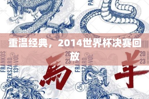 重温经典，2014世界杯决赛回放