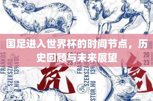 国足进入世界杯的时间节点，历史回顾与未来展望