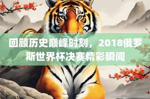 回顾历史巅峰时刻，2018俄罗斯世界杯决赛精彩瞬间