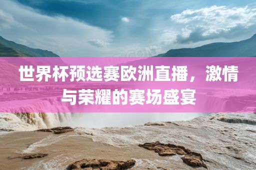 世界杯预选赛欧洲直播，激情与荣耀的赛场盛宴