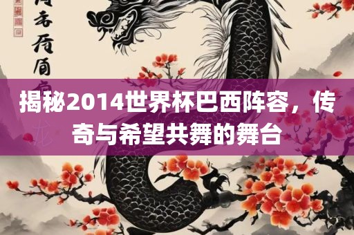 揭秘2014世界杯巴西阵容，传奇与希望共舞的舞台