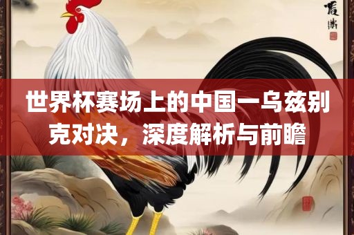 世界杯赛场上的中国一乌兹别克对决，深度解析与前瞻